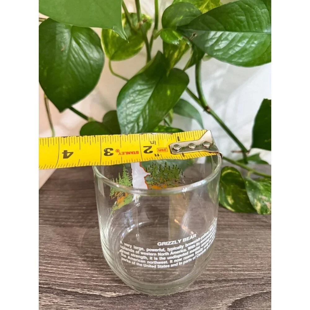 Grizzly bear glass vintage cup